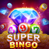 Super Bingo on fb009